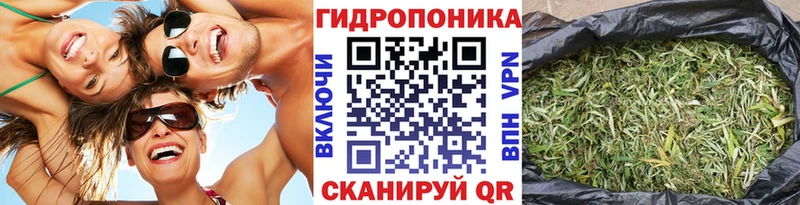 hydra ссылки  Сим  площадка Telegram  продажа наркотиков  Бошки марихуана SATIVA & INDICA 